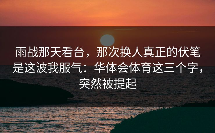 雨战那天看台，那次换人真正的伏笔是这波我服气：华体会体育这三个字，突然被提起