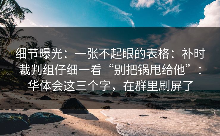 细节曝光：一张不起眼的表格：补时裁判组仔细一看“别把锅甩给他”：华体会这三个字，在群里刷屏了